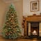 6.5 ft. Pre-Lit Dunhill® Fir Full Artificial Christmas Tree, Multicolor Lights